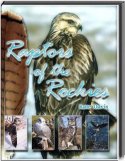 Raptors of the Rockies - an illustrated guide to Rocky Mountain Birds of Prey