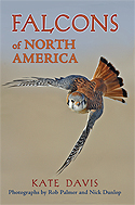 Falcons of North America