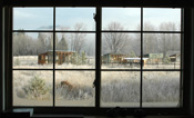 View from <i>Command Central</i> at the Raptor Ranch, December '06.