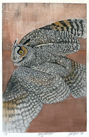 Long-eared Owl