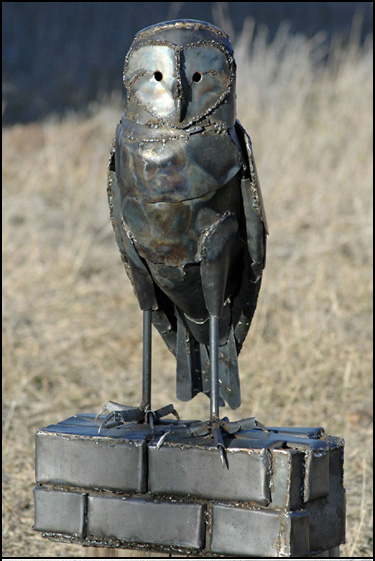 Barn Owl