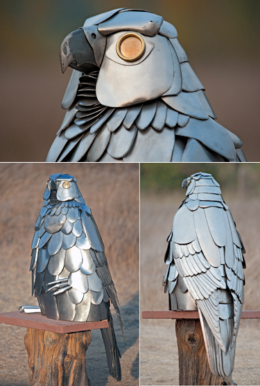 Gyrfalcon