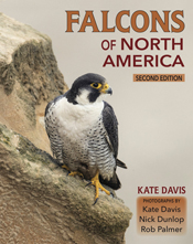 Falcons of North America