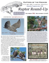 Current Issue Cover Page