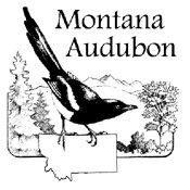 <a href=http://www.mtaudubon.org target=_blank>www.mtaudubon.org</a>